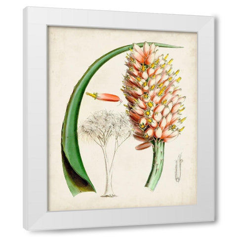 Delicate Tropicals III White Modern Wood Framed Art Print by Curtis