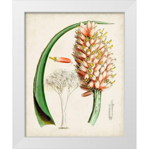 Delicate Tropicals III White Modern Wood Framed Art Print by Curtis