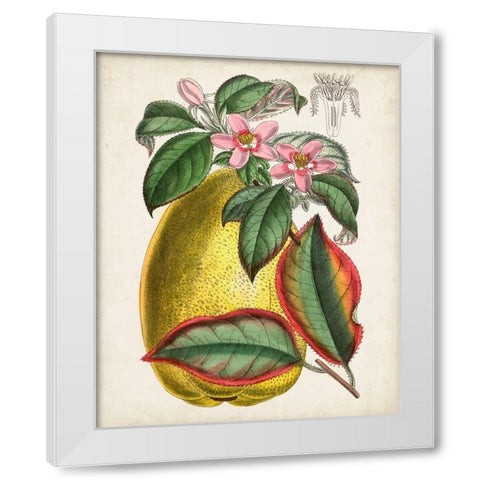 Delicate Tropicals V White Modern Wood Framed Art Print by Curtis