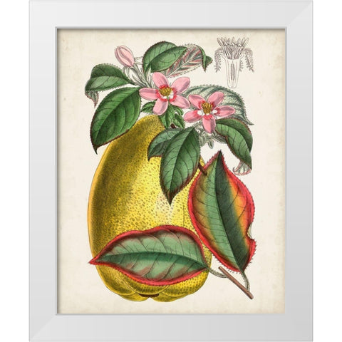 Delicate Tropicals V White Modern Wood Framed Art Print by Curtis