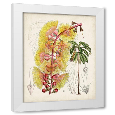 Delicate Tropicals VII White Modern Wood Framed Art Print by Curtis
