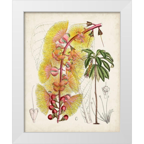 Delicate Tropicals VII White Modern Wood Framed Art Print by Curtis
