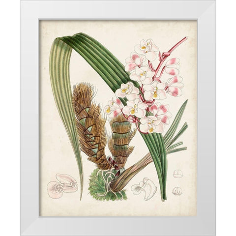 Delicate Tropicals VIII White Modern Wood Framed Art Print by Curtis