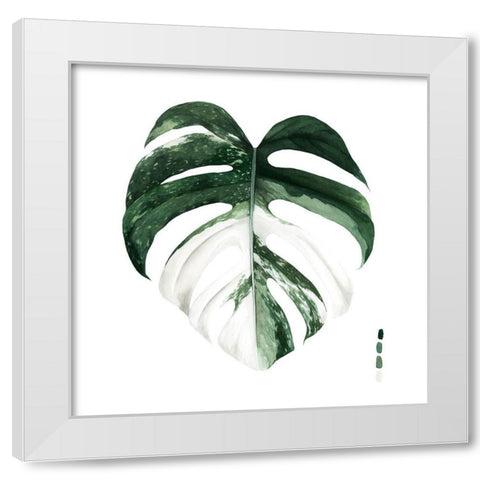 Variegated Monstera I White Modern Wood Framed Art Print by Popp, Grace