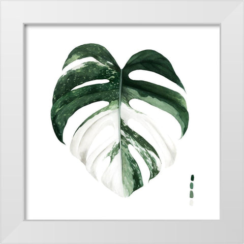Variegated Monstera I White Modern Wood Framed Art Print by Popp, Grace