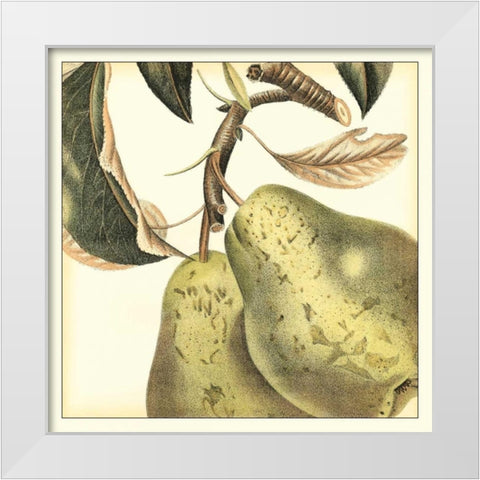 Graphic Pear White Modern Wood Framed Art Print by Vision Studio