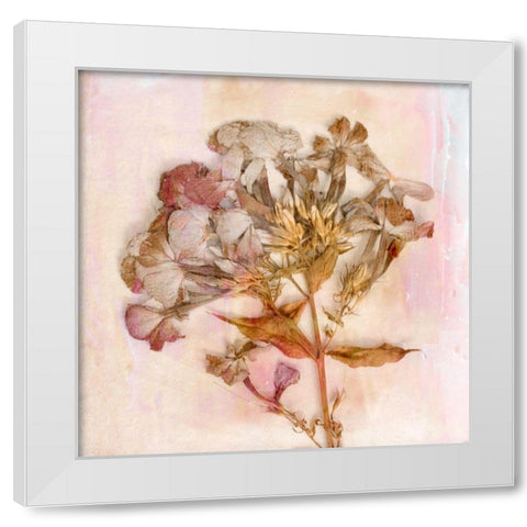 Remembered Flowers III White Modern Wood Framed Art Print by Stalus, Judy