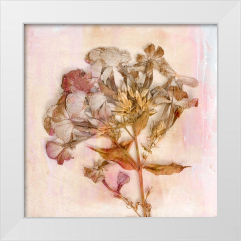 Remembered Flowers III White Modern Wood Framed Art Print by Stalus, Judy