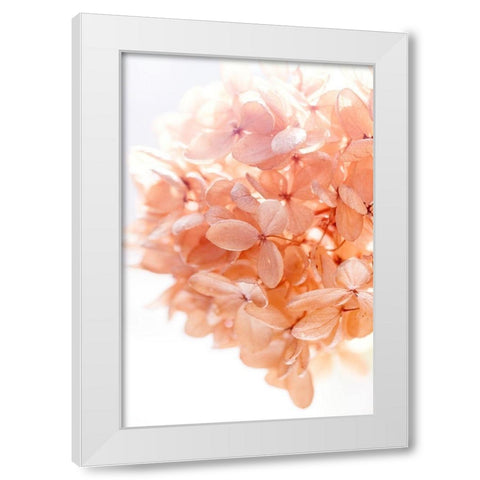 Sunny Morning I White Modern Wood Framed Art Print by Stalus, Judy