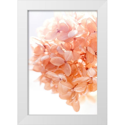 Sunny Morning I White Modern Wood Framed Art Print by Stalus, Judy