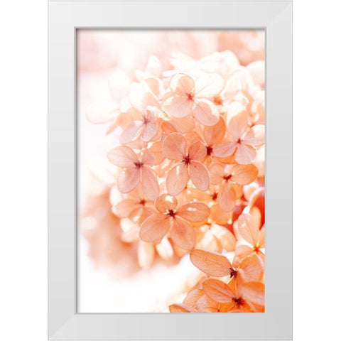 Sunny Morning II White Modern Wood Framed Art Print by Stalus, Judy