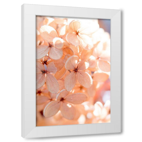 Sunny Morning III White Modern Wood Framed Art Print by Stalus, Judy