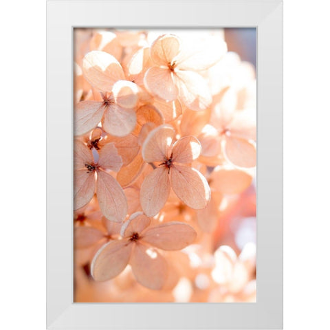 Sunny Morning III White Modern Wood Framed Art Print by Stalus, Judy