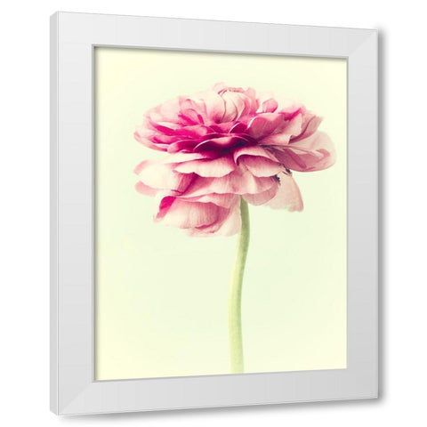 Lush Botanical I White Modern Wood Framed Art Print by Stalus, Judy