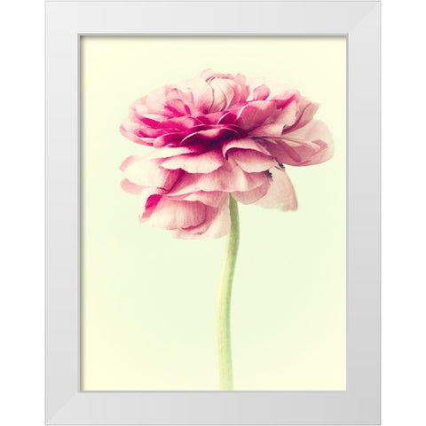 Lush Botanical I White Modern Wood Framed Art Print by Stalus, Judy