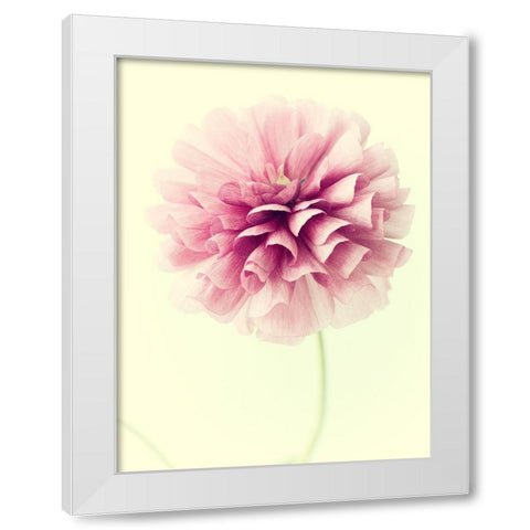 Lush Botanical III White Modern Wood Framed Art Print by Stalus, Judy