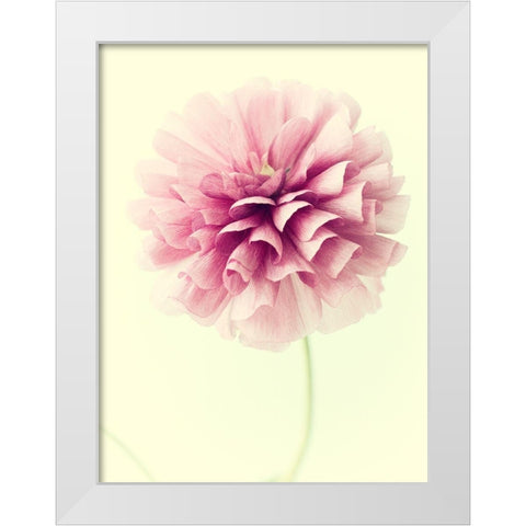 Lush Botanical III White Modern Wood Framed Art Print by Stalus, Judy