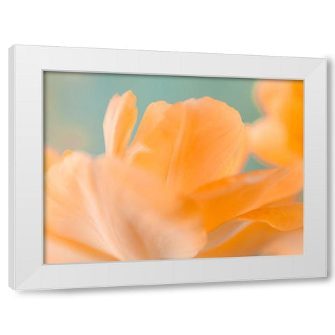 Double Vision I White Modern Wood Framed Art Print by Stalus, Judy