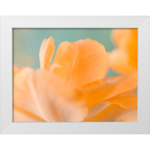 Double Vision I White Modern Wood Framed Art Print by Stalus, Judy