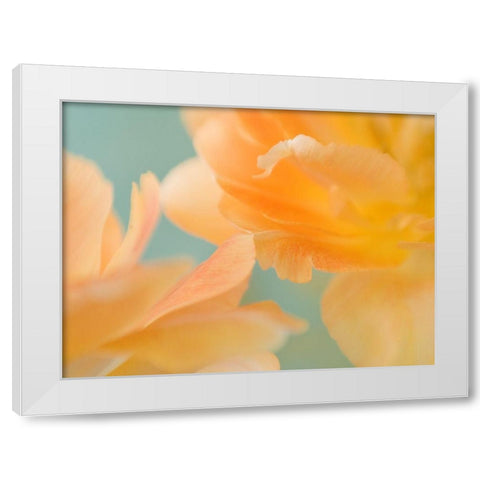 Double Vision II White Modern Wood Framed Art Print by Stalus, Judy