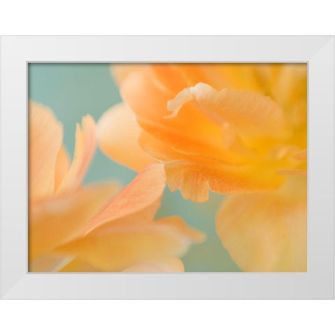 Double Vision II White Modern Wood Framed Art Print by Stalus, Judy