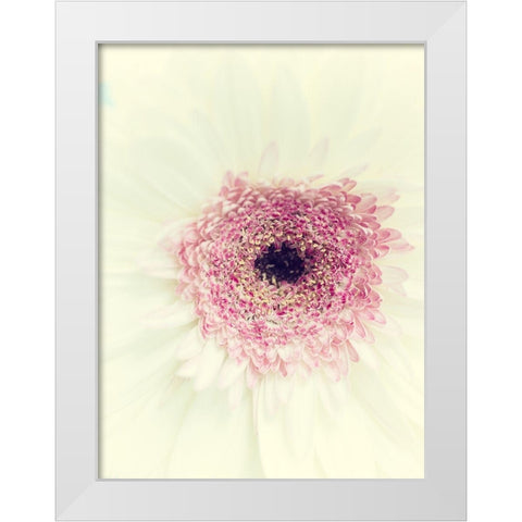 Flowers Aglow II White Modern Wood Framed Art Print by Stalus, Judy