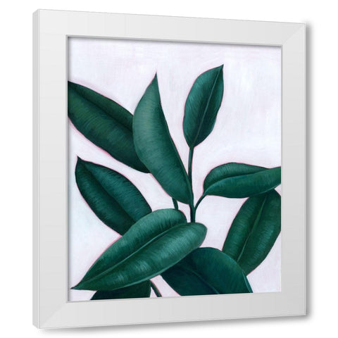 Verdant Ficus II White Modern Wood Framed Art Print by Popp, Grace