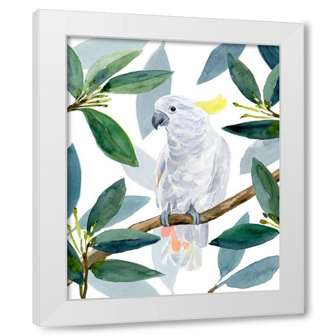 Cockatoo Perch II White Modern Wood Framed Art Print by Warren, Annie