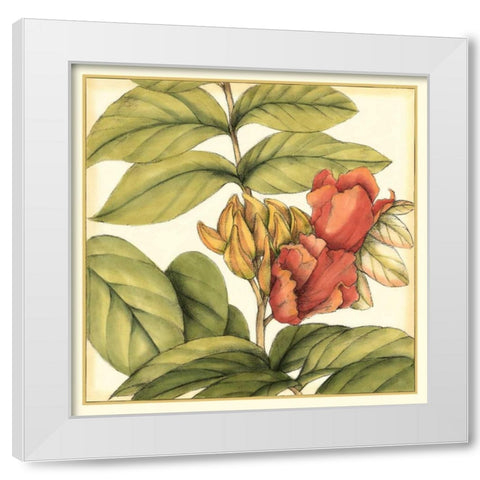 Tropical Blooms and Foliage III White Modern Wood Framed Art Print by Goldberger, Jennifer