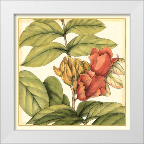 Tropical Blooms and Foliage III White Modern Wood Framed Art Print by Goldberger, Jennifer