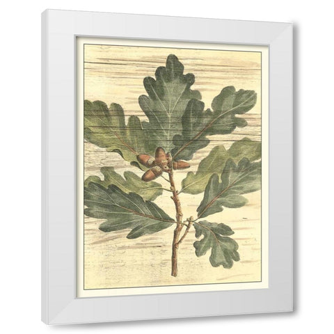Weathered Oak Leaves I White Modern Wood Framed Art Print by DeShayes, Gerard Paul