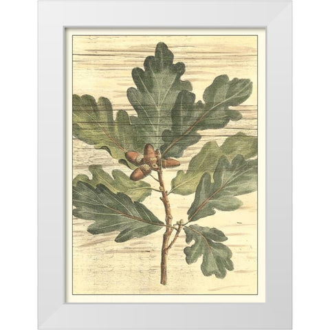 Weathered Oak Leaves I White Modern Wood Framed Art Print by DeShayes, Gerard Paul