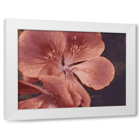 Garden Geraniums I White Modern Wood Framed Art Print by Green, Jacob