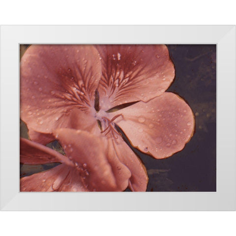 Garden Geraniums I White Modern Wood Framed Art Print by Green, Jacob