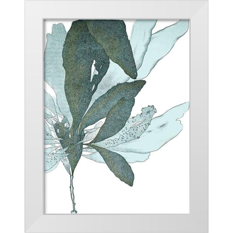 Seaside Seaweed I White Modern Wood Framed Art Print by Vision Studio