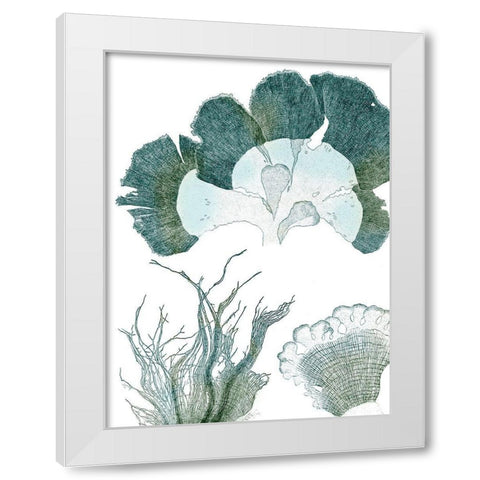 Seaside Seaweed II White Modern Wood Framed Art Print by Vision Studio