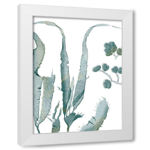 Seaside Seaweed III White Modern Wood Framed Art Print by Vision Studio