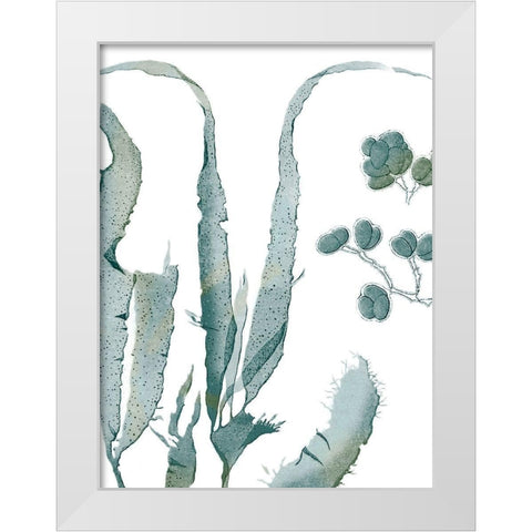 Seaside Seaweed III White Modern Wood Framed Art Print by Vision Studio