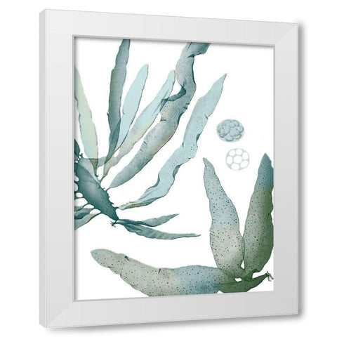 Seaside Seaweed IV White Modern Wood Framed Art Print by Vision Studio