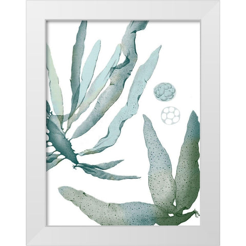 Seaside Seaweed IV White Modern Wood Framed Art Print by Vision Studio