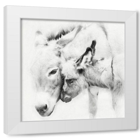 Donkey Portrait III White Modern Wood Framed Art Print by PHBurchett