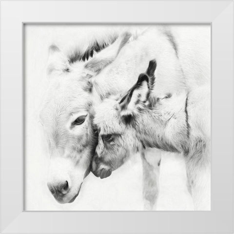 Donkey Portrait III White Modern Wood Framed Art Print by PHBurchett