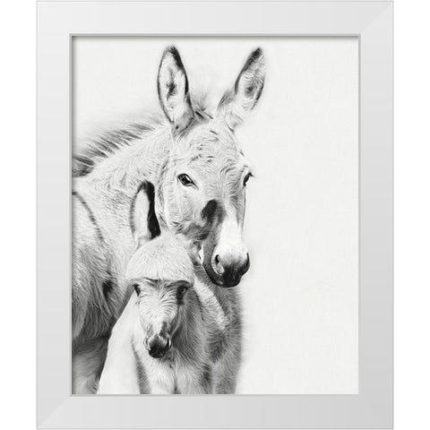Donkey Portrait V White Modern Wood Framed Art Print by PHBurchett
