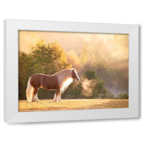 Golden Lit Horse I White Modern Wood Framed Art Print by PHBurchett
