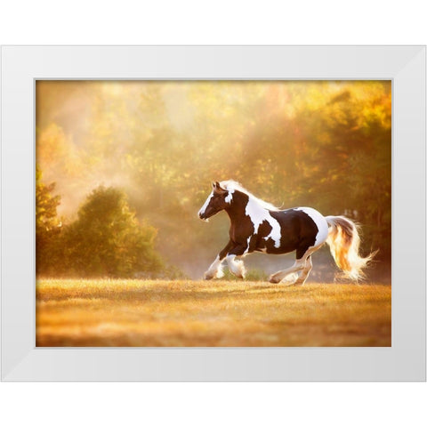 Golden Lit Horse II White Modern Wood Framed Art Print by PHBurchett