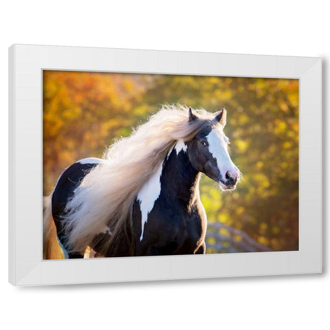 Golden Lit Horse III White Modern Wood Framed Art Print by PHBurchett