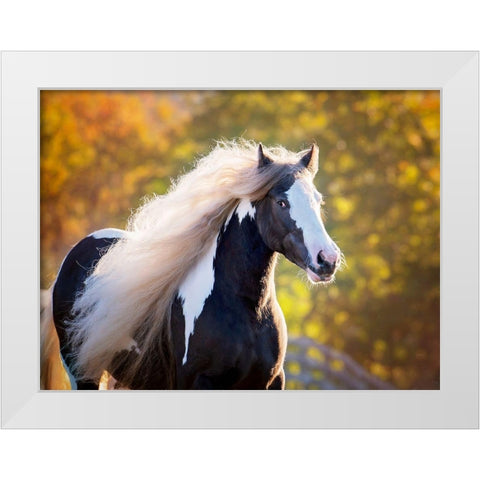 Golden Lit Horse III White Modern Wood Framed Art Print by PHBurchett