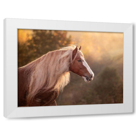 Golden Lit Horse V White Modern Wood Framed Art Print by PHBurchett