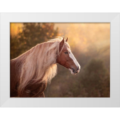 Golden Lit Horse V White Modern Wood Framed Art Print by PHBurchett