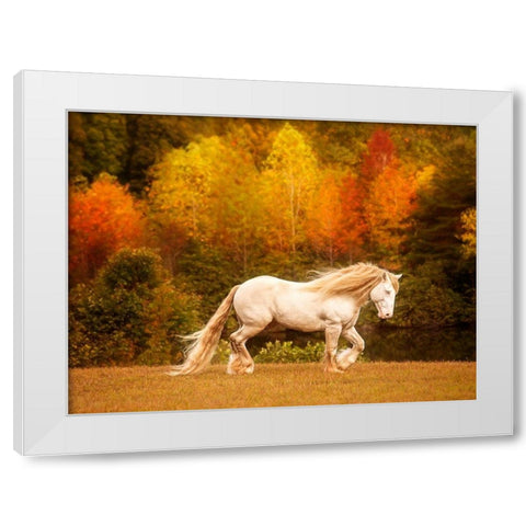 Golden Lit Horse VI White Modern Wood Framed Art Print by PHBurchett